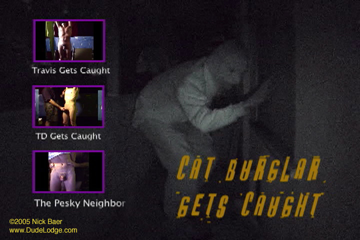 Cat Burglar Gets Caught gay dvd