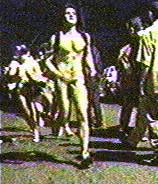 nm2.gif (26706 bytes)