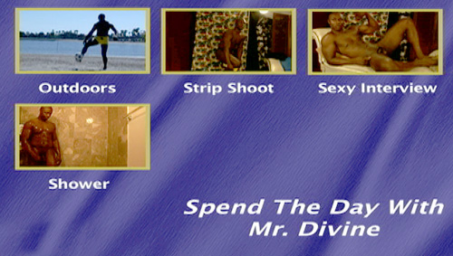 Spend-The-Day-With-Mr-Divine-gay-dvd